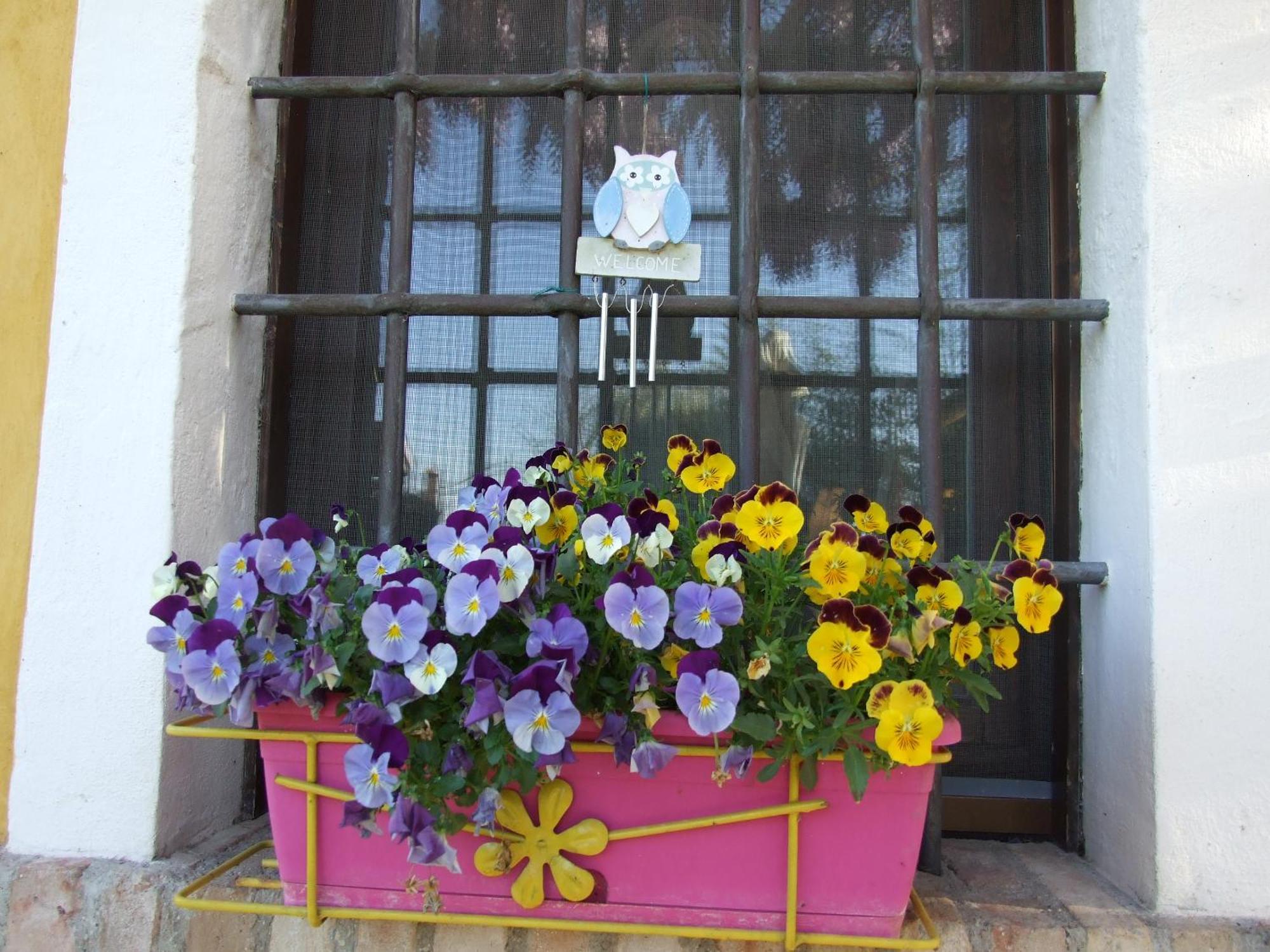 B&B Casacasina Monzambano Kültér fotó