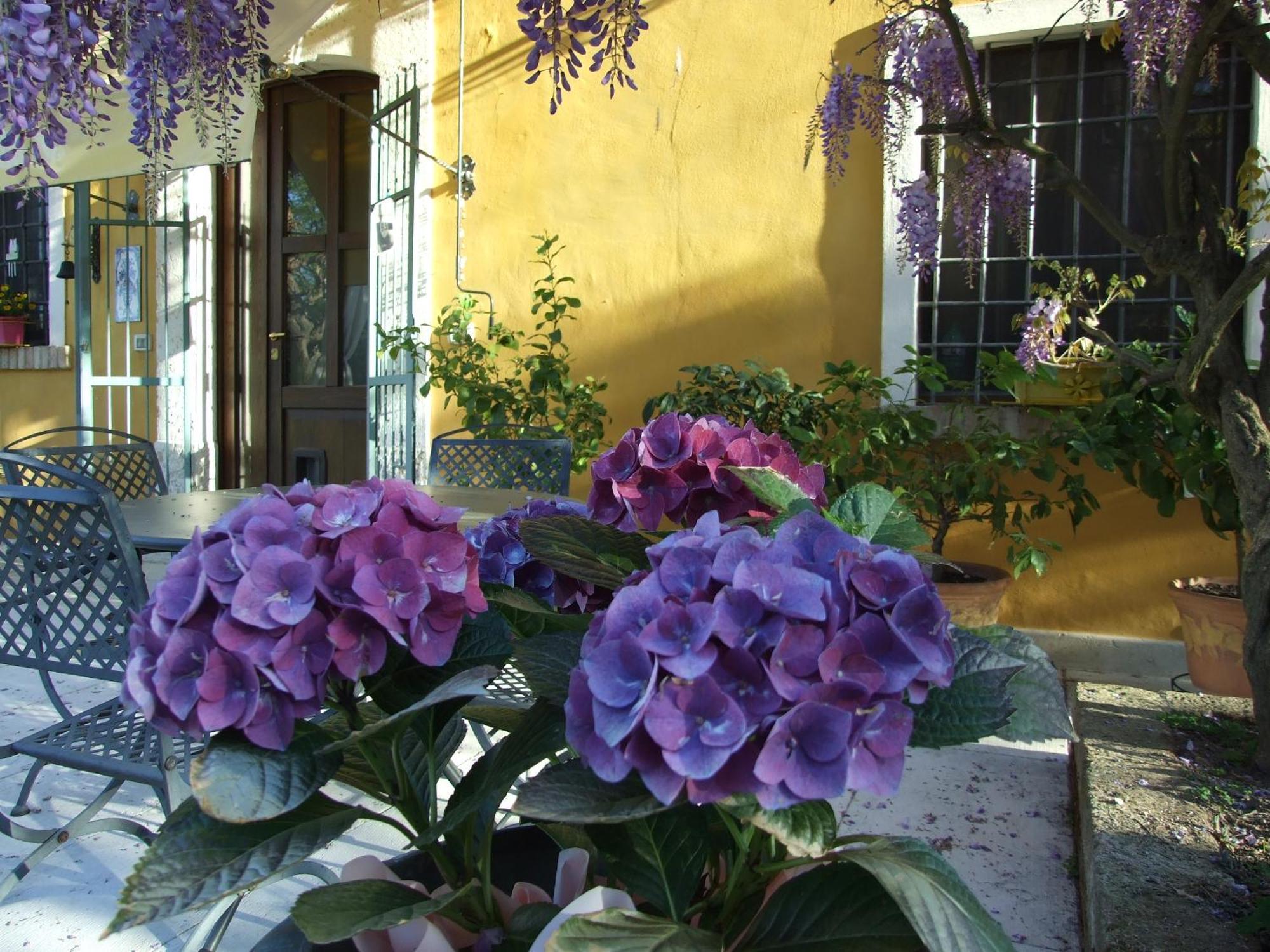 B&B Casacasina Monzambano Kültér fotó