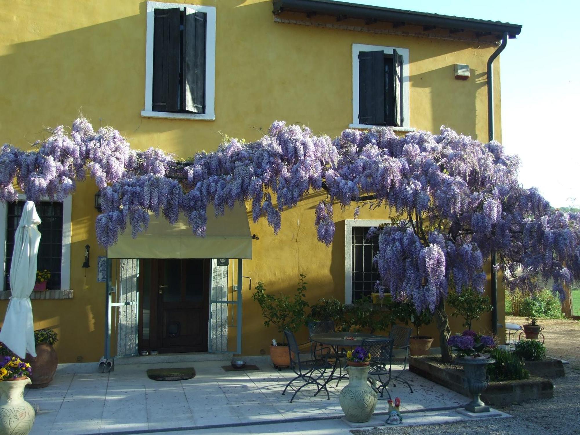 B&B Casacasina Monzambano Kültér fotó